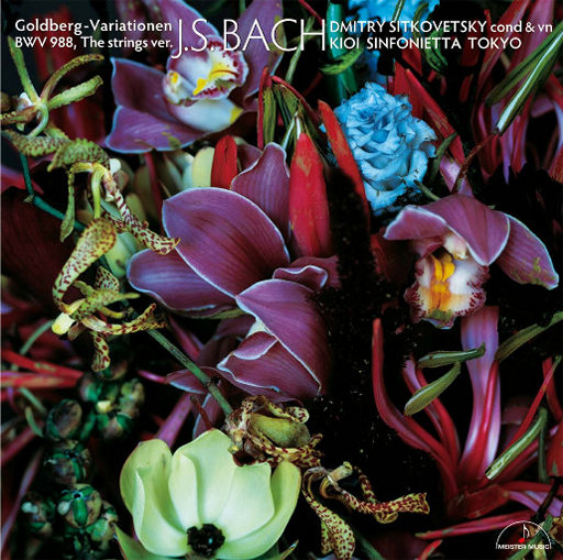 国产真实对白久久
